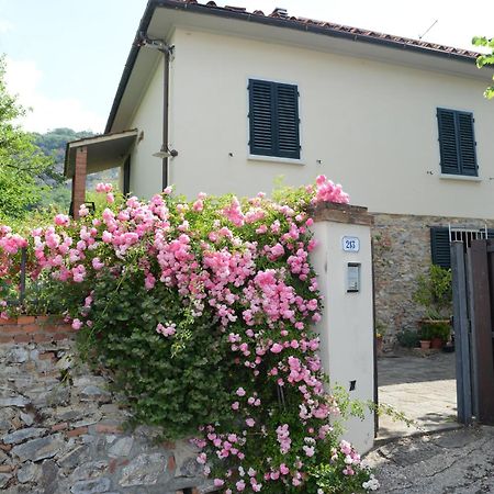 Casa1 Villa Monsummano Terme Exterior photo