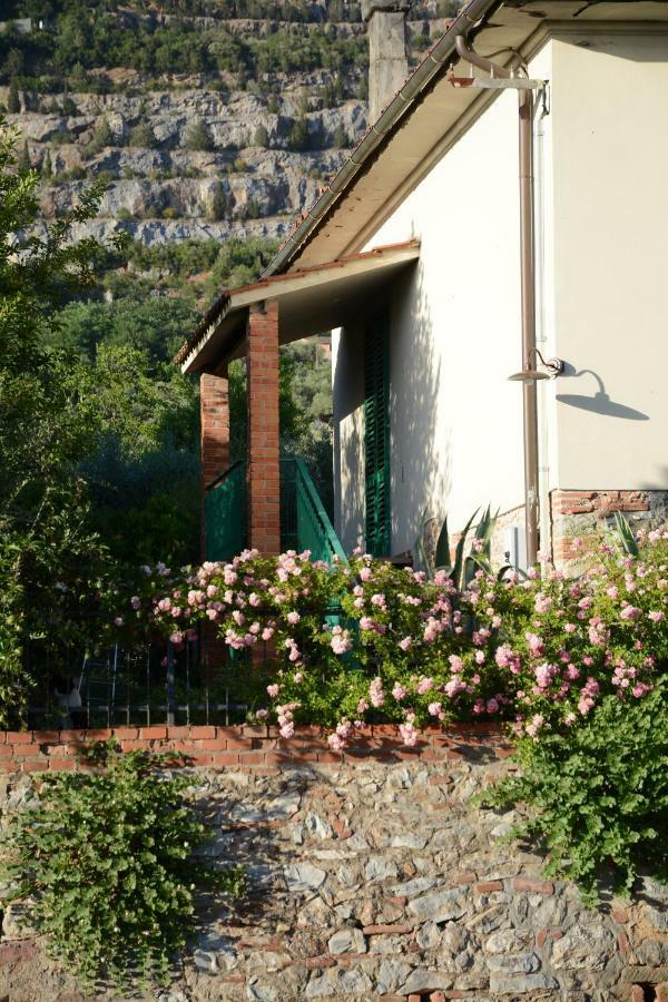 Casa1 Villa Monsummano Terme Exterior photo